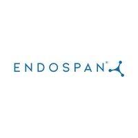 endospan ltd.