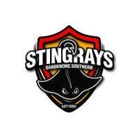 dandenong southern stingrays football club logo image