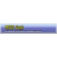 msis sagl logo image