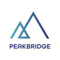 peakbridge logo image