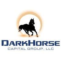 darkhorse capital group logo image