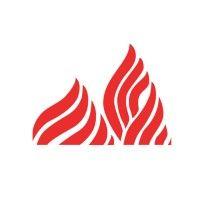 fireking international logo image