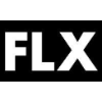 flx logo image