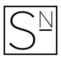 smith networks logo image