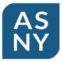 accounting solutions of ny logo image