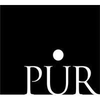 pur investing inc. logo image