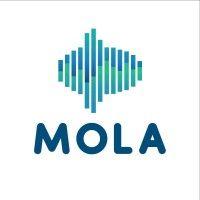 mola italia logo image