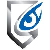 stt security services logo image