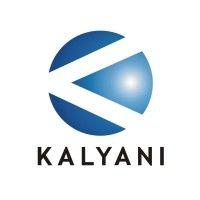 kalyani strategic systems limited