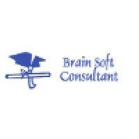 brainsoft consultants logo image