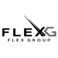 flex group logo image