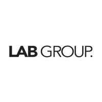 the lab group. logo image