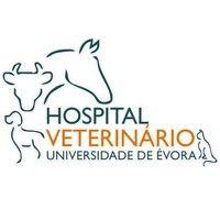 hospital veterinário da universidade de évora logo image