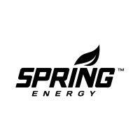 spring sports nutrition, inc. logo image