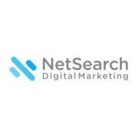 netsearch digital marketing logo image