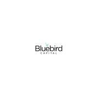 bluebird capital logo image