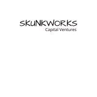 skunkworks capital ventures logo image