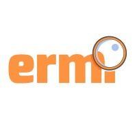 ermi software limited logo image