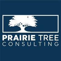 prairie tree consulting logo image