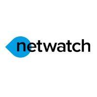 netwatch global® logo image