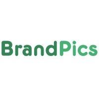 brandpics ltd logo image