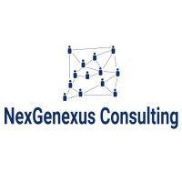 nexgenexus consulting logo image