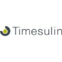 timesulin ltd logo image