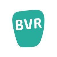 bvr adviseurs logo image