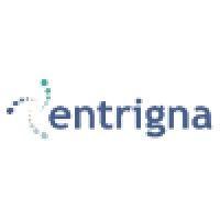 entrigna inc logo image