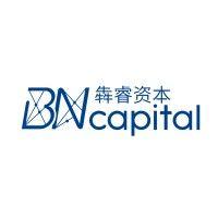 bn capital logo image