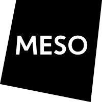 meso digital interiors gmbh logo image