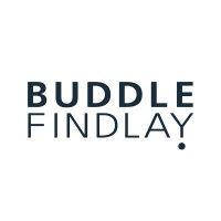 buddle findlay logo image