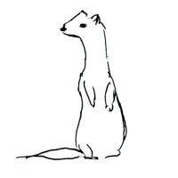 the weasel logo image