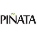 logo of Pinata Consultants Pvt Ltd