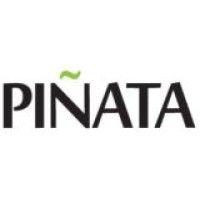 pinata consultants pvt. ltd