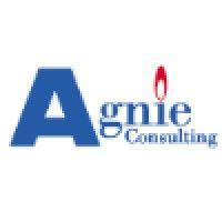 agnie consulting logo image