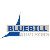 bluebill advisors, inc. / the gilbane advisor logo image