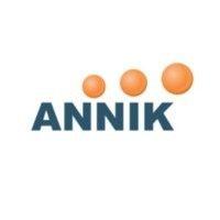 annik technology services pvt ltd logo image