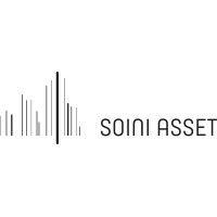 soini asset logo image