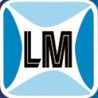 lm soldagens e serviços ltda logo image