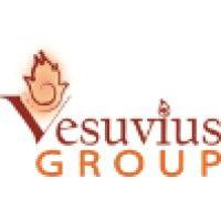 the vesuvius group, llc logo image