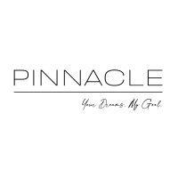 pinnacle financial group logo image