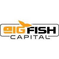 bigfishcapital logo image