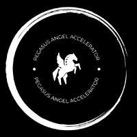 pegasus angel accelerator logo image