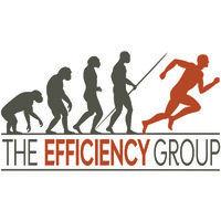 the efficiency group llc logo image