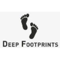 deep footprints digital ltd logo image