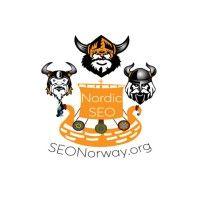 seo norway logo image