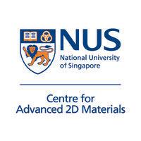 nus centre for advanced 2d materials (ca2dm)