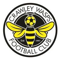 crawley wasps lfc logo image