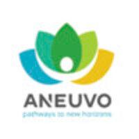 aneuvo logo image